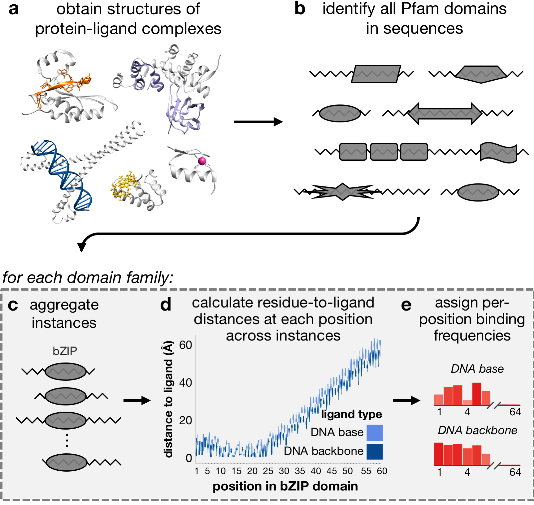 InteracDome workflow pipeline figure