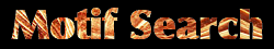 Motif Search Logo